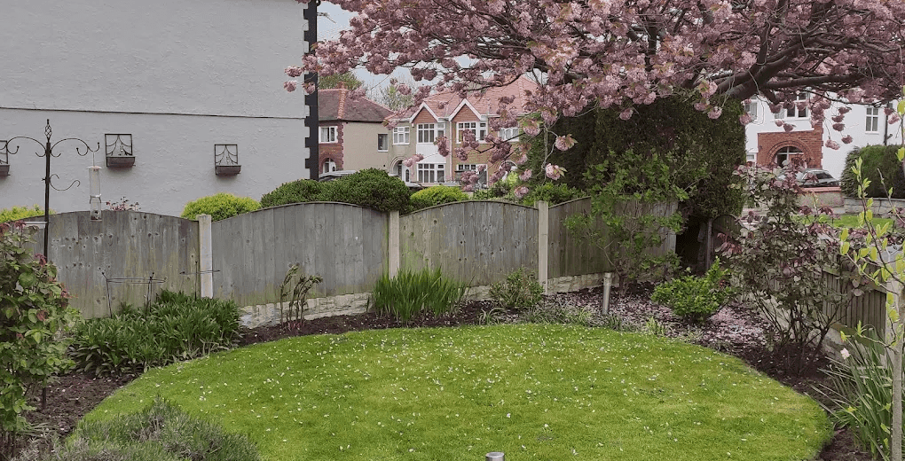 A neatly maintained Wirral front garden with a circular lawn, planted borders and a cherry blossom tree in bloom