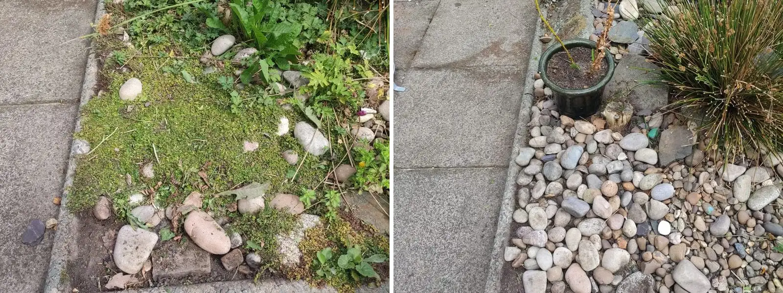 Before and after - a pebble bed choked with moss and weeds, then raked back to clean stone