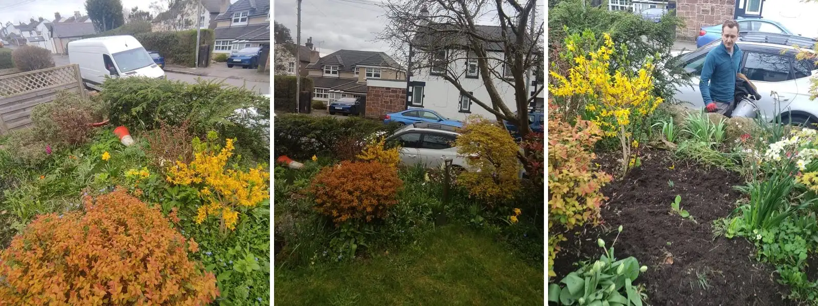 Three stages of a front garden border - overgrown, part cleared, then dug over and replanted