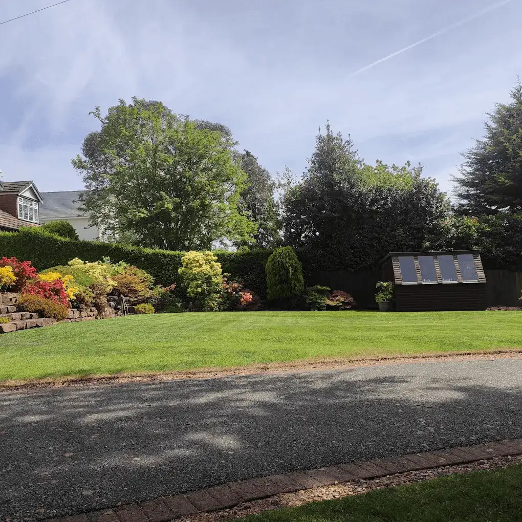 A colourful shrub border of acers and azaleas beside a striped lawn