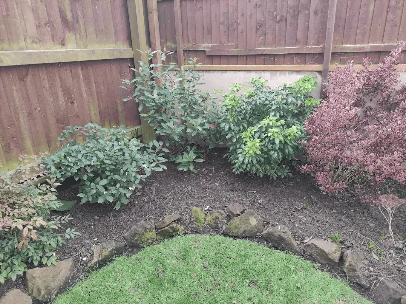 A weeded and mulched shrub border edged with natural stone
