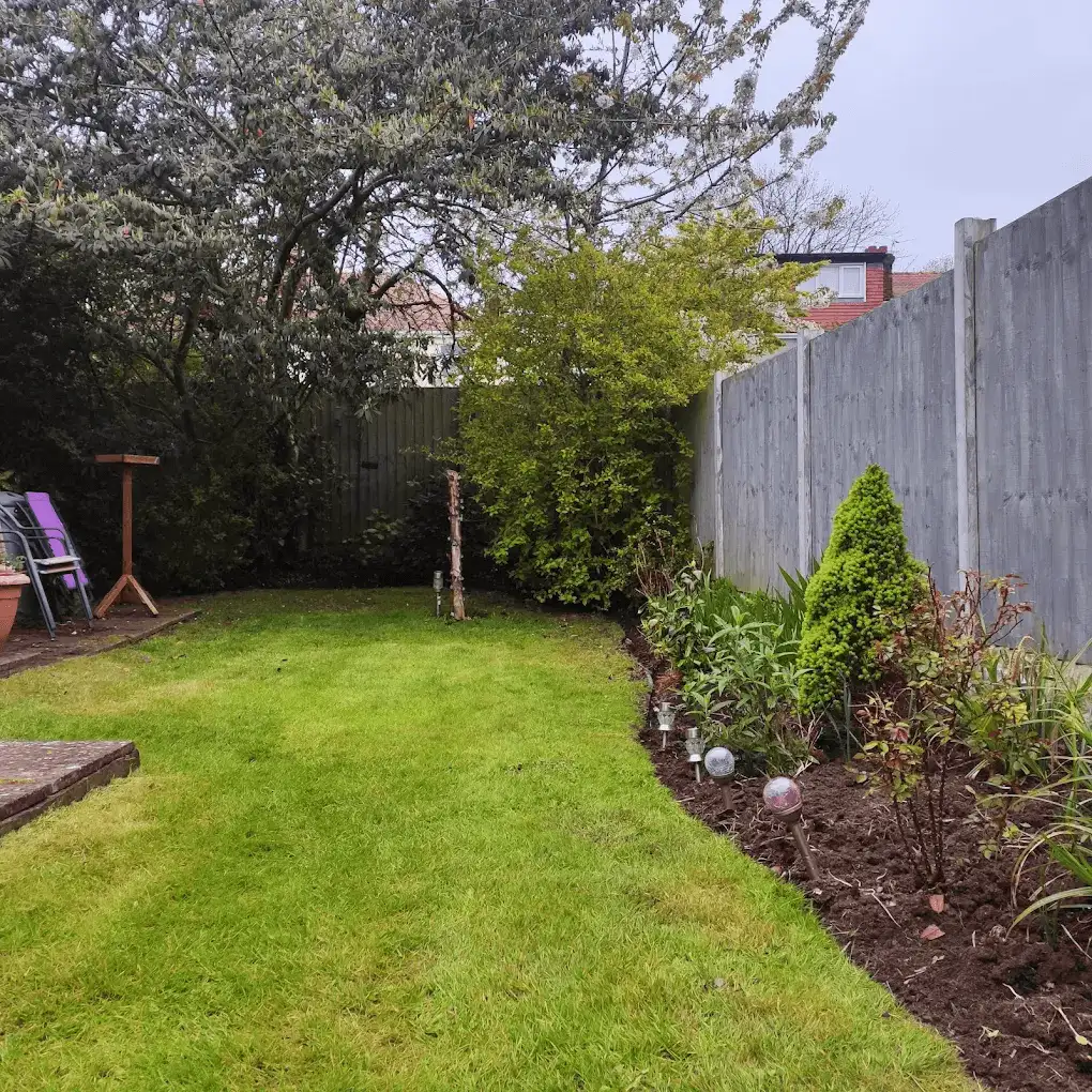 A tidy back-garden lawn beside a freshly dug and planted border